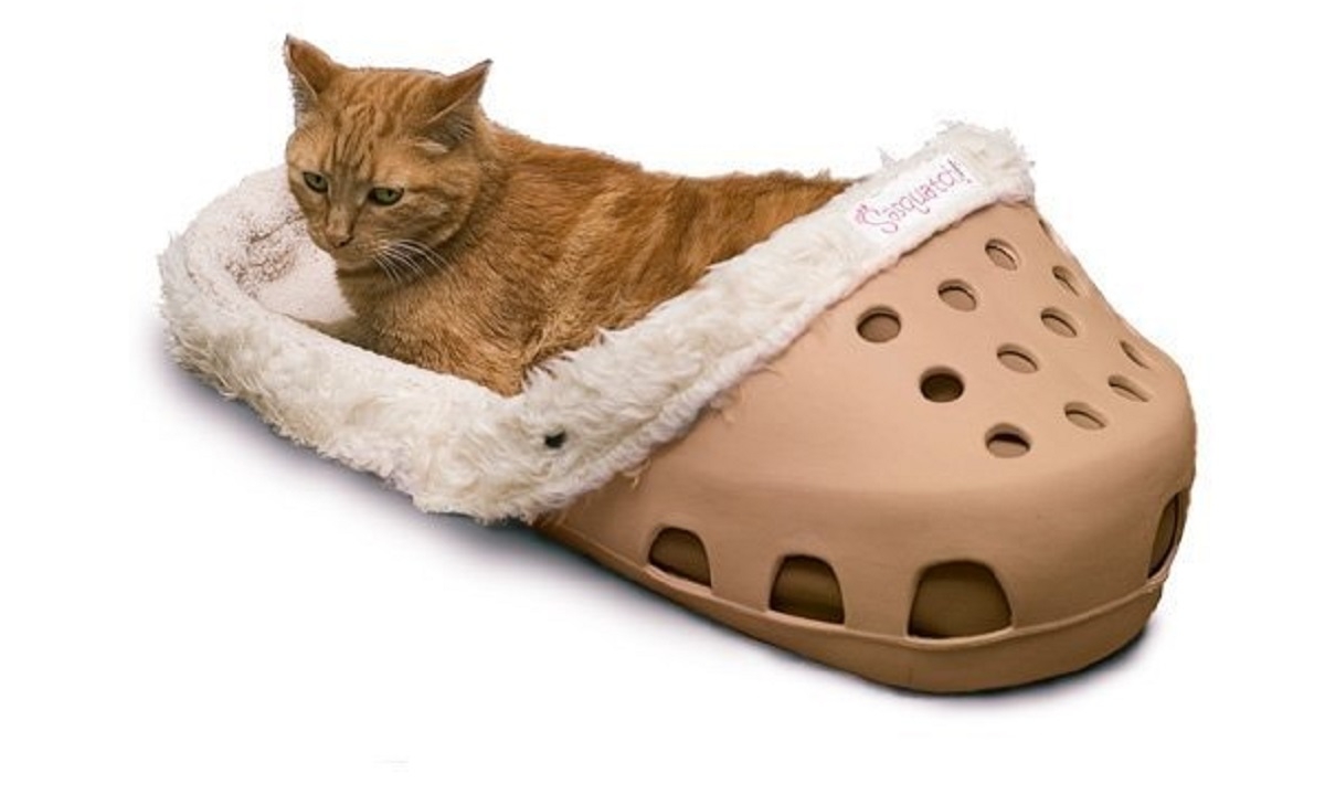 Pour votre animal de compagnie voici le lit chaussure