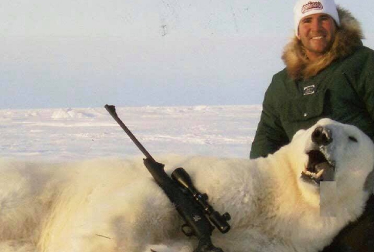 Les ours polaires chasss pour devenir le trophe d'hommes riches