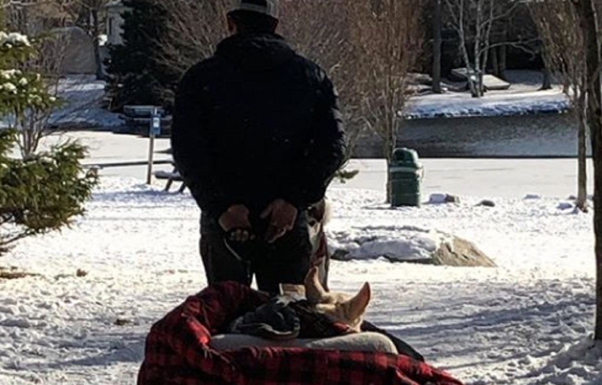 Un homme cr un chariot douillet pour que son chien paralys puisse respirer l'air frais dehors